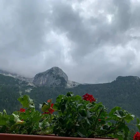 Casa Bambi Sella Nevea