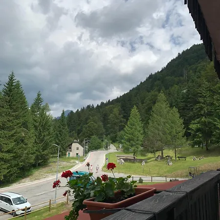 Casa Bambi *